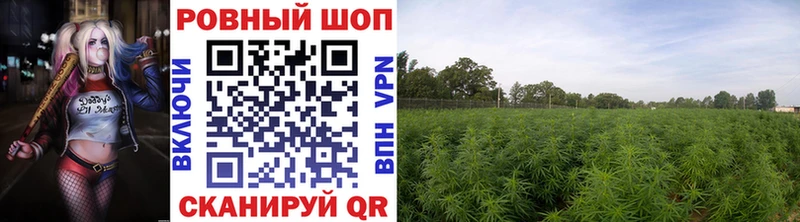 Меф мяу мяу Пустошка