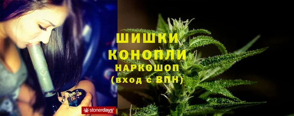 винт Аркадак