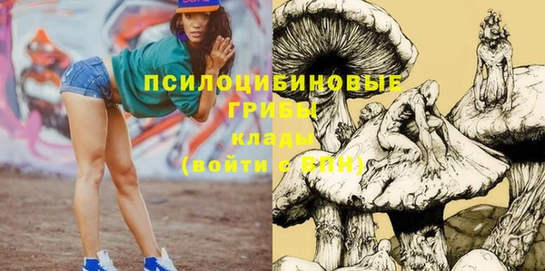 винт Аркадак