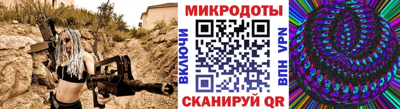магазин    Пустошка  Псилоцибиновые грибы Psilocybe 